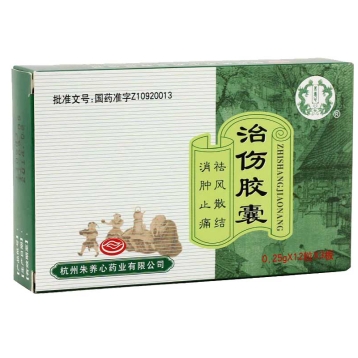 治伤胶囊 